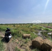 Lốc 5 Lô, 280 Triệu, Cách Kênh Chính Chỉ 100M. Đường Ô Tô