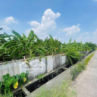 Bán Lô Đất Nông Nghiệp Lô Góc Tại Lệ Chi - Gia Lâm, 1640M2 Giá Bán 2.1 Tỷ