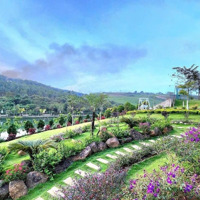Đất Nền Bảo Lộc View Hồ Tâm Châu Làng Omm Lưng Tựa Núi, Mặt Hướng Hồ, Sổ Sẵn, Gần Cao Tốc Đi Đà Lạt