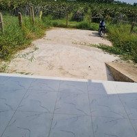 Tổng 500M2: 150M2 Thổ. Nhà + 350M2 Vườn