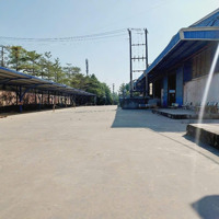 Cho Thuê Kho, Nhà Xưởng 5000M2 Tại Xã Thạnh Phú, Vĩnh Cửu, Đồng Nai, 55 Nghìn / M2
