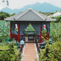 Chính Chủ Bán Bt Onsen Nhật Bản - Khoáng Nóng Tận Nhà. Bàn Giao Full Nội Thất. Sẵn Sổ Đỏ Sang Tên