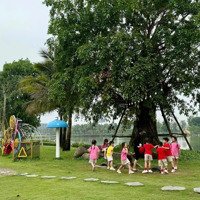 Biệt Thự Công Viên Tại Eco Central Park Những Phiên Bản Giới Hạn Tiện Nghi Trong Không Gian Xanh