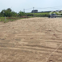Cho Thuê Mặt Bằng, Đất Trống, Đường Nhựa Lớn Xe Container, Thổ 100%, Đủ Loại Diện Tích, 6K/M2/Tháng