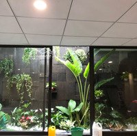 Bán Biệt Thự Sân Vườn Tây Mỗ- Gần Dương Nội - 200M2 Gần Hồ - View Thoáng - 28 Tỉ