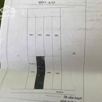 Bán Đất Tại Đường 20, Giá Tốt 200 Triệu, 110M2, Pháp Lý Đầy Đủ