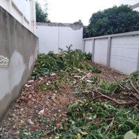 Chính Chủ Cần Tiền Bán Gấp Đất Mặt Tiền Đường Trương Văn Thành, Quận 9