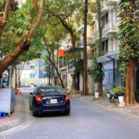 Hiếm Nhất Phố Tây Sơn, Bán Nhà Sát Mặt Phố Thái Hà Phân Lô Ô Tô Tránh, Kd 7T*50M2 Sđcc