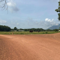 Bán Đất Suối Đá, Tây Ninh: 5X40M (50M2 Thổ Cư), 330 Triệu Bao Sổ