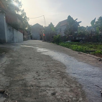 Chính Chủ E Cần Tiền Bán 75M2 Xuân Đồng,Tân Minh Sóc Sơn ,Hà Nội