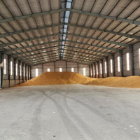 Cho Thuê Kho Xưởng 2500M2 Đường Ql 51, Long Thành, Đồng Nai Chỉ 100 Triệu/Th
