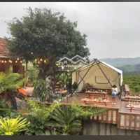 Bán Nguyên Quả Đồi 7000M2 Tại Phi Tô Lâm Hà Chỉ 2,85 Tỷ 3 Mặt Tiền Vị Trí Cực Đẹp Tiềm Năng