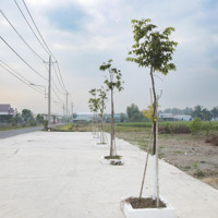 Bán Nền Thổ Cư Odt Tại Trương Định Lộ 22M, Giá Ưu Đãi 1,2 Tỷ - 126M2 Trung Tâm Tt Cần Đước