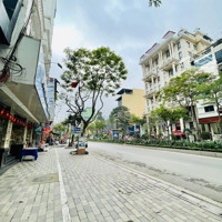 Nhà Mặt Phố Quận Tây Hồ Xây 8 Tầng Thang Máy, Kinh Doanh Văn Phòng, Mặt Tiền 6M Vuông Vắn, 44 Tỷ