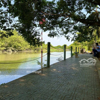 Bán Đất View Công Viên, Kdc Gia Hoà , Phường Phước Long B, Tp Thủ Đức . Diện Tích: 200 M2 Giá: 16.5 Tỷ
