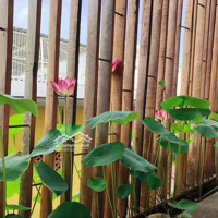 Cho Thuê Căn Duplex 2 Tầng Mặt Tiền 62 Trần Hưng Đạo, Pnl, Quận 1.Diện Tích160M2 Giá 45 Triệu