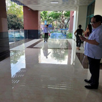 Chủ Nhà Bán Chia Tài Sản Căn Hộ Chung Cư Mặt Phố Láng Hạ Vị Trí Kim Cương 175M2 3 Phòng Ngủtuyệt Đỉnh