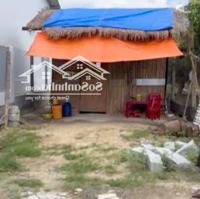 Cơ Hội Cuối Cùng Sở Hữu Đất Dân Cam Tân Giá Dưới 1 Tỷ!