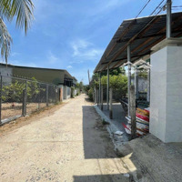Cơ Hội Cuối Cùng Sở Hữu Đất Dân Cam Tân Giá Dưới 1 Tỷ!
