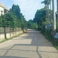 Hàng Tuyển Trung Tâm Yên Bài. Tổng Diện Tích 430M2. Mặt Tiền 10M. 0988908583
