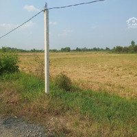 Bán Lô 1000M2 Đất Ở Tại Nông Thôn Giá Bán 1 Tỷ