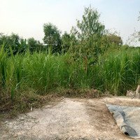 Bán Lô 1000M2 Đất Ở Tại Nông Thôn Giá Bán 1 Tỷ