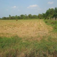 Bán Lô 1000M2 Đất Ở Tại Nông Thôn Giá Bán 1 Tỷ