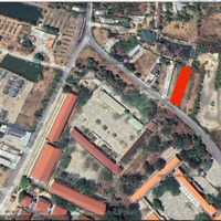 Bán Thửa Đất 10X60 Có 300 Thổ Cư Mặt Tiền Duyên Hải- Cần Giờ Giá Chỉ 40 Triệu/M2