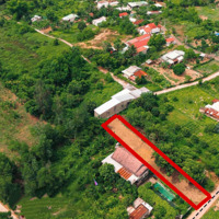 Cần Bán Gấp Lô Vườn Xuân Đồng - Diên Khánh, Đẹp, 600M2, Ngang 10M, Có Sẵn 100M2 Thổ Cư, Đường Nhựa