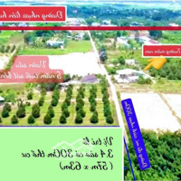 Đất Sào Sẵn 300M2 Thổ Cư Gần 60M Mặt Tiền Tại Tân Phú Đồng Nai