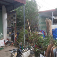 Bán Đất Mặt Đường 200 Thuộc Đoạn Từ Chợ Thi Đến Phố Giác, Cách Chợ Thi 200M, Diện Tích 100M2, Sổ Đỏ