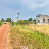 Bán Đất Tại Nguyễn Thị Ni, Củ Chi, 10,5 Tỷ, 1000M2 Giá Tốt