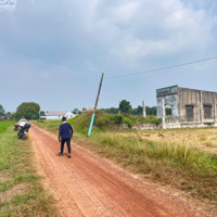 Bán Đất Tại Nguyễn Thị Ni, Củ Chi, 10,5 Tỷ, 1000M2 Giá Tốt
