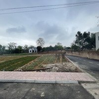 Bán Đất Tại Khu Phân Lô Kiểu Mẫu, Tiên Chu, Xã Bắc Sơn, Sóc Sơn, 1,2 Tỷ, 110M2