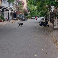Cho Thuê Nhà Mặt Phố Trần Thị Nơi, 25 Triệu, 80M2, Giá Cực Chất Uy Tín, Q8, Hcm