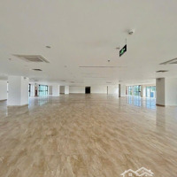 Tổng Hợp Vp Nguyên Sàn Lớn Từ 500 M2 Cho Các Công Ty Mở Rộng. Office Danang