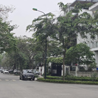 Bán Biệt Thự Cao Cấp Ciputra Hà Nội, 180 M2, Giá Chỉ 420/M2 Chính Chủ