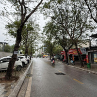 Bán Nhà Đất Biệt Thự Vườn Đào Dãy D3