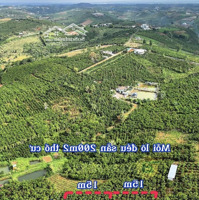 Chính Chủ Bán 670M2 Đất Thổ Cư P2, Bảo Lộc - Chỉ 1,65 Tỷ