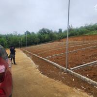 135m2 thổ cư trước mặt nhà máy công nghiệp chưa đến 300 triệu ở Ngọc Lặc ,Thanh Hóa