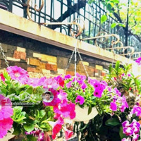 Gía Chào 77 Tỷ. Bán Biệt Thự Liền Kề Đường Trần Văn Lai Kđt Sudico Sông Đà Mỹ Đình. 201M2X5Txmt9M.