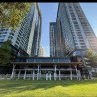 Cho Thuê Căn Hộ Cao Cấp Sunwah Pearl Tháp White Diện Tích 53M2 View Trực Diện Sông Sg