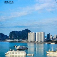 Trực Diện Biển 2 Ngủ 2 Vệ Sinh68M2 - Giá Bán 3,6 Tỷ Tầng Thấp