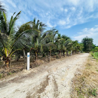 Chính Chủ Bán Vườn Bưởi 600M2 Sát Sông Cái, Sát Đường Tỉnh Lộ 2, Pháp Lý Sổ Đỏ