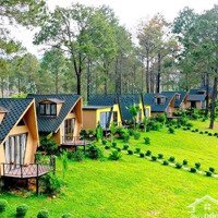 Hạ Giá Bán Gấp Đất Phú Đông Nhơn Trạch,Mặt Tiềnsông Giá Rẻ 1, 1 Triệu/M, Sr Chính Chủ. Gọi Ngay 24/24