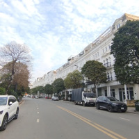 Bán 3 Căn Lk Trục Chính Louis City, 100M2, Mặt Tiền 6M, Đường 27M, Kinh Doanh Vô Địch