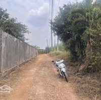 Bán Đất Ấp 1 Xã Phước Bình - Long Thàn, Diện Tích 5X23M2, Sổ Riêng, Thổ Cư 100M Giá Bán 950 Triệu Đồng