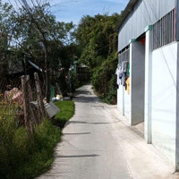 Bán Lô Đất Đất Tư Giá Rẻ Tân Quý Tây, Bình Chánh