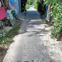 Bán Lô Đất Đất Tư Giá Rẻ Tân Quý Tây, Bình Chánh