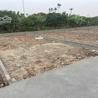 Bán Đất Tại Bát Trang, An Lão, Hải Phòng, 650 Triệu, 60 M2,Cạnh Kcn 678 Ha,Đường Thông